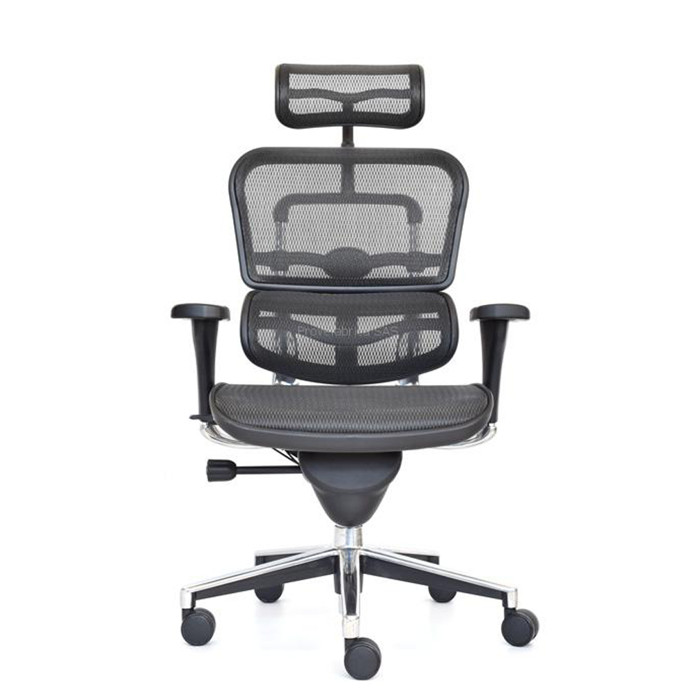 La imagen muestra una silla ergonómica de oficina en color negro. La silla cuenta con un respaldo alto de malla, lo que proporciona ventilación y comodidad. Incluye un reposacabezas ajustable y un soporte lumbar adicional también en malla. Los reposabrazos son ajustables en altura y posición. El asiento de la silla está fabricado en malla, lo que ofrece un soporte cómodo y transpirable. La base es de metal cromado con cinco ruedas, lo que facilita el movimiento.